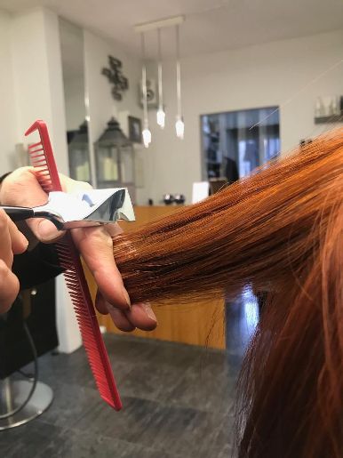 Calligraphy Cut &reg; Technik