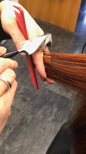 Calligraphy Cut &reg; Anwendung